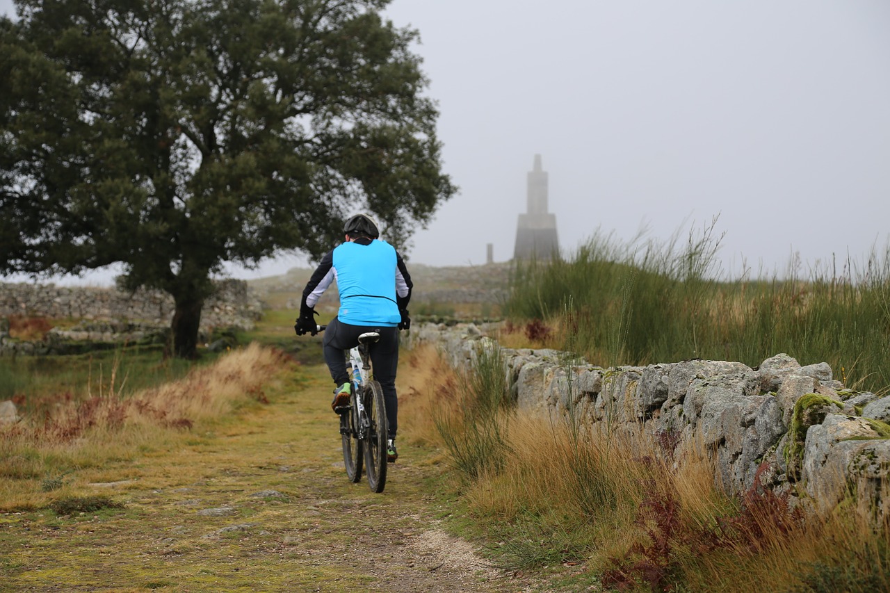 bike sport nature free photo