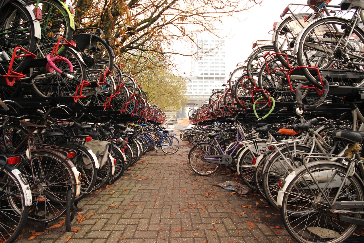 bike rallying point netherlands free photo