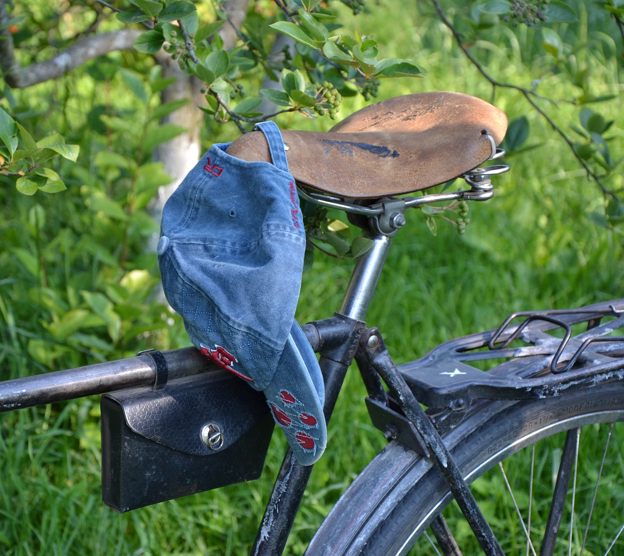 bike bicycle summer free photo