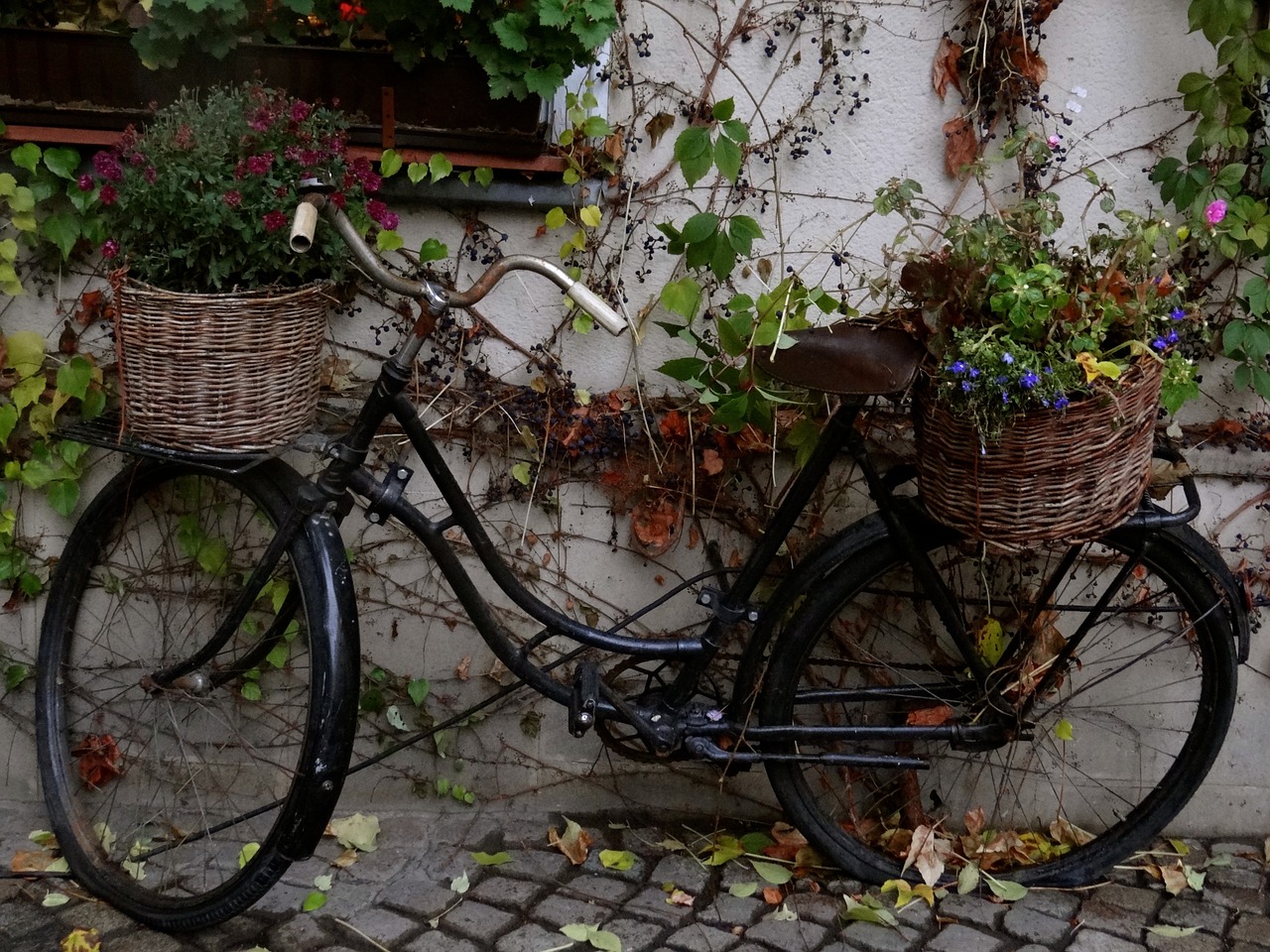 bike spring retro free photo