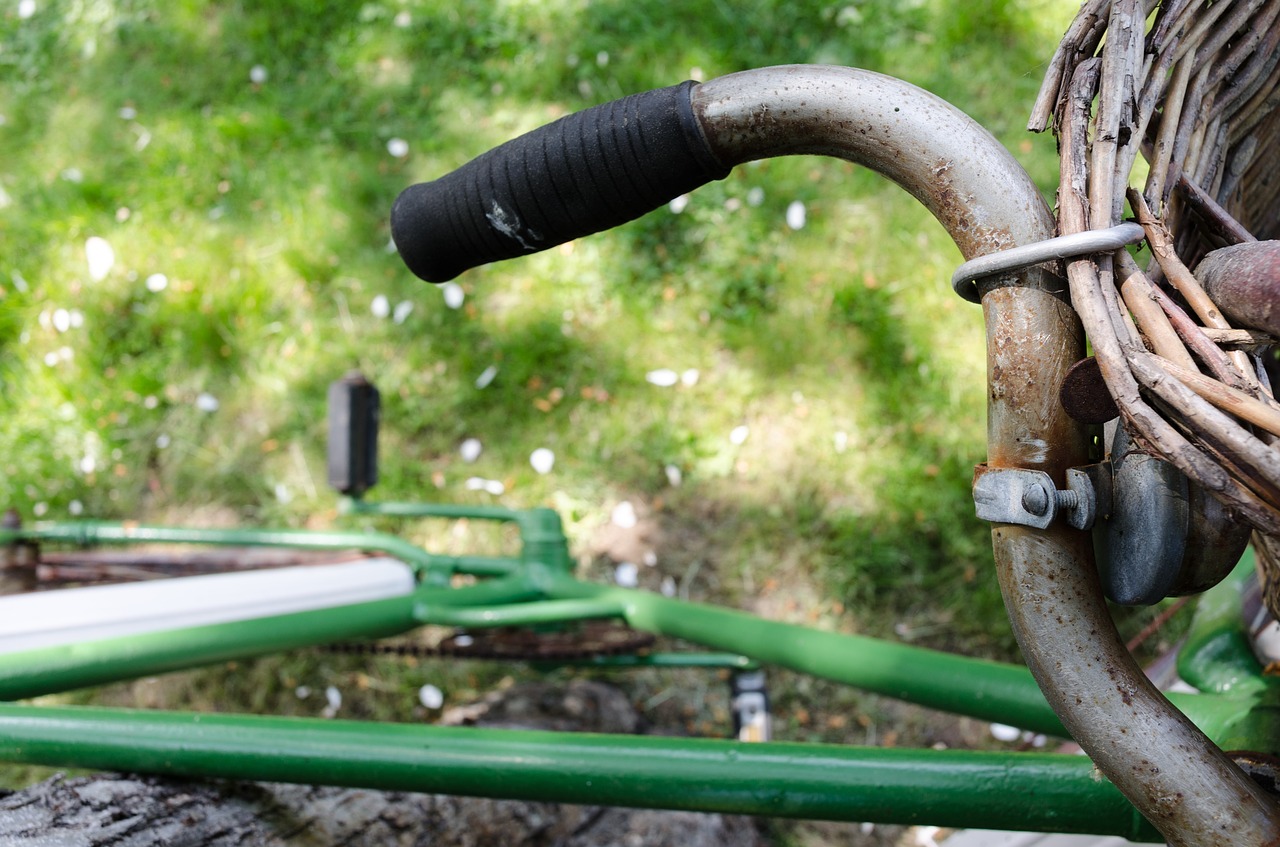 bike handlebar rusty free photo