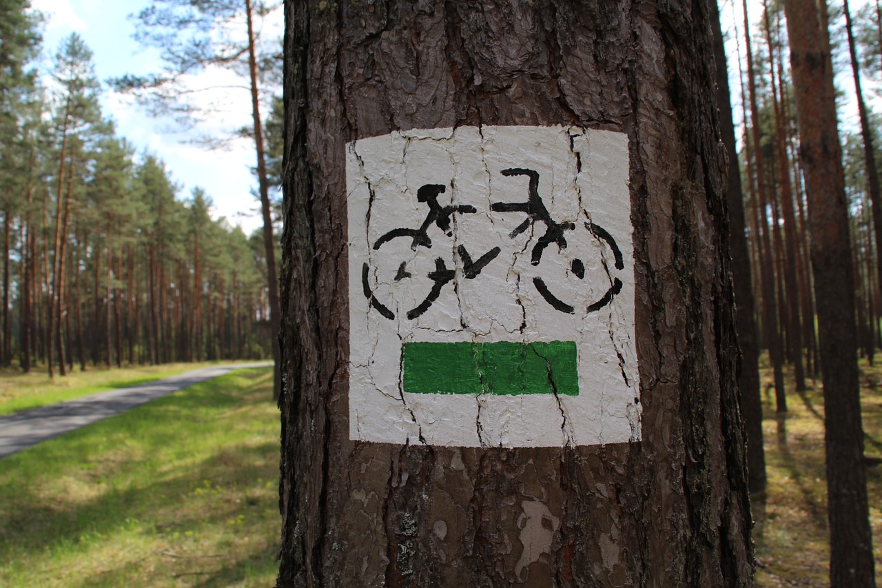 bike route trail free photo