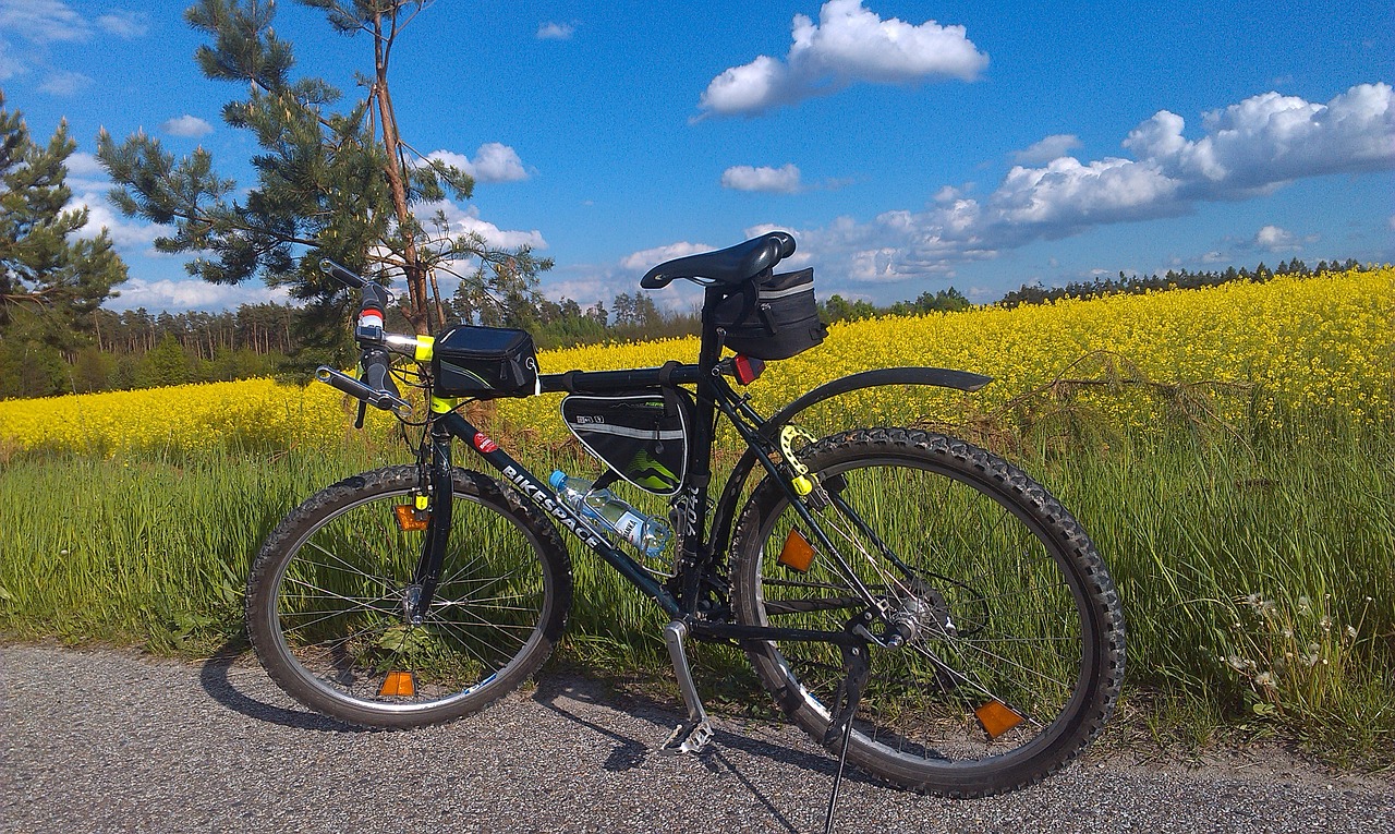 bike rapeseed field free photo