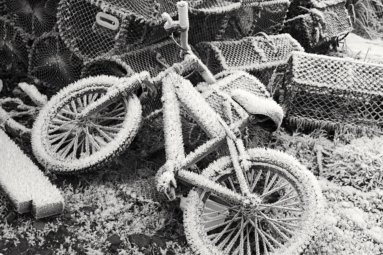 bike frozen winter free photo