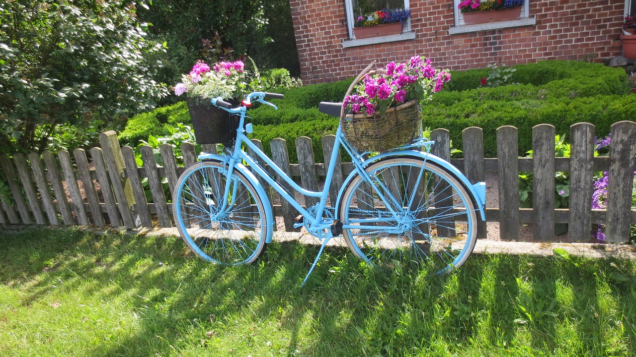 bike art garden free photo