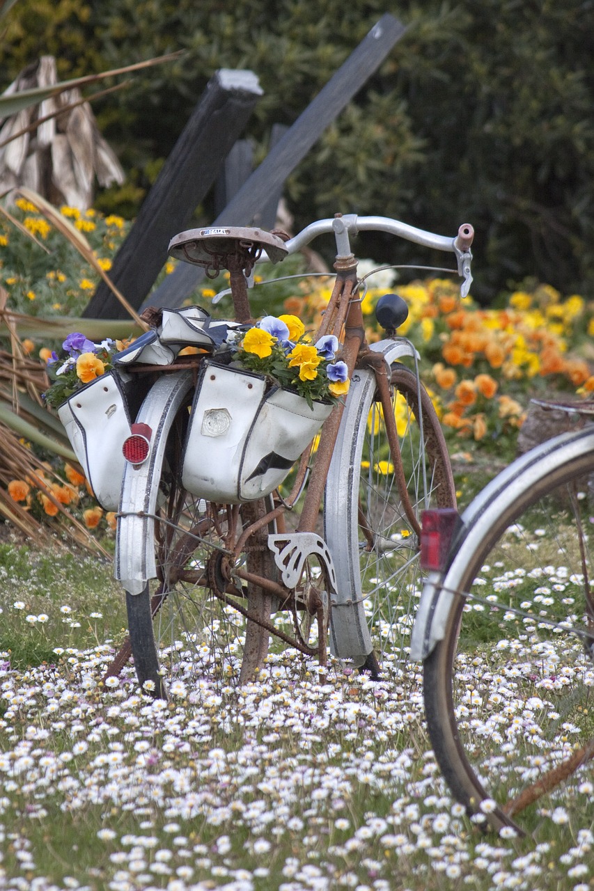 bike flowers garden free photo