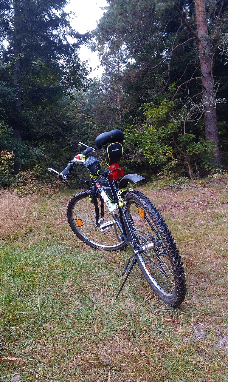 bike meadow forest free photo