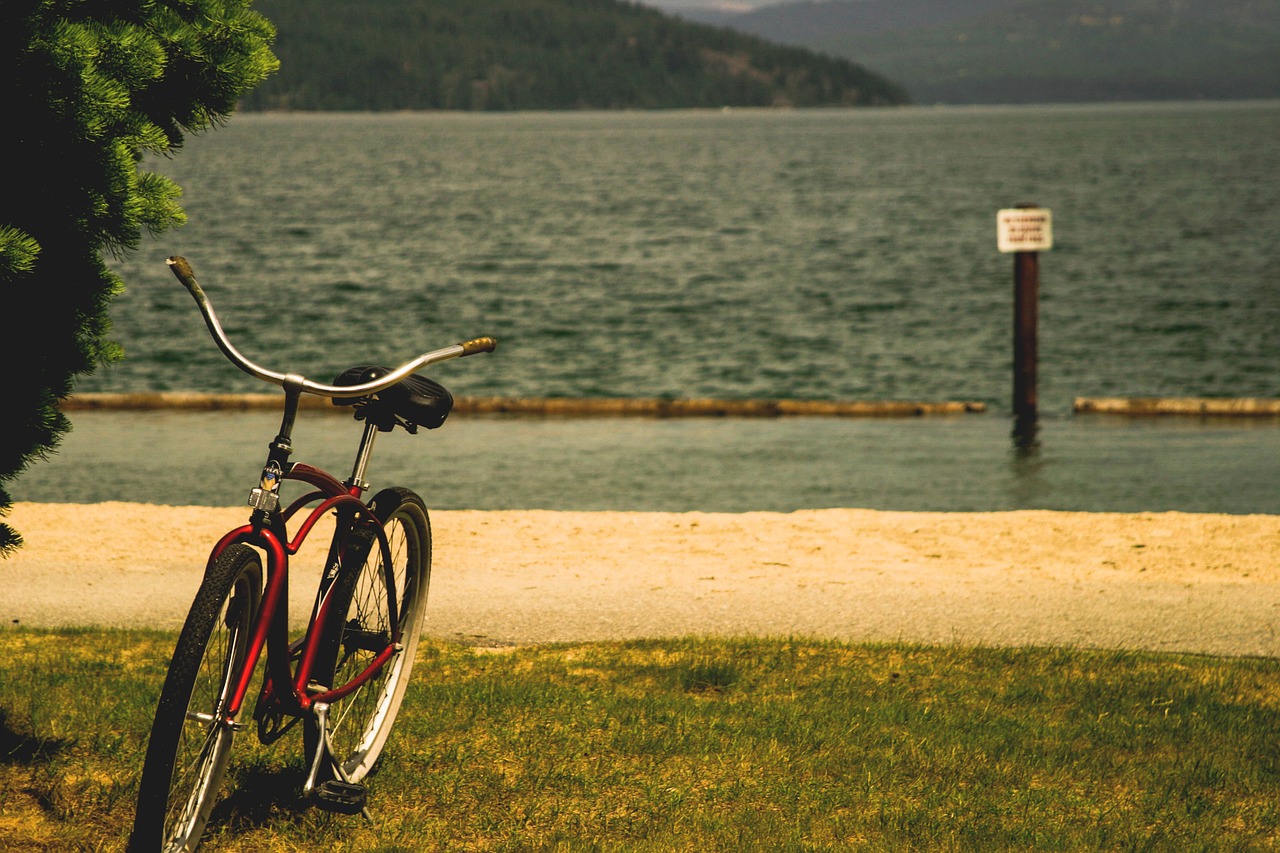 bike bicycle lake free photo