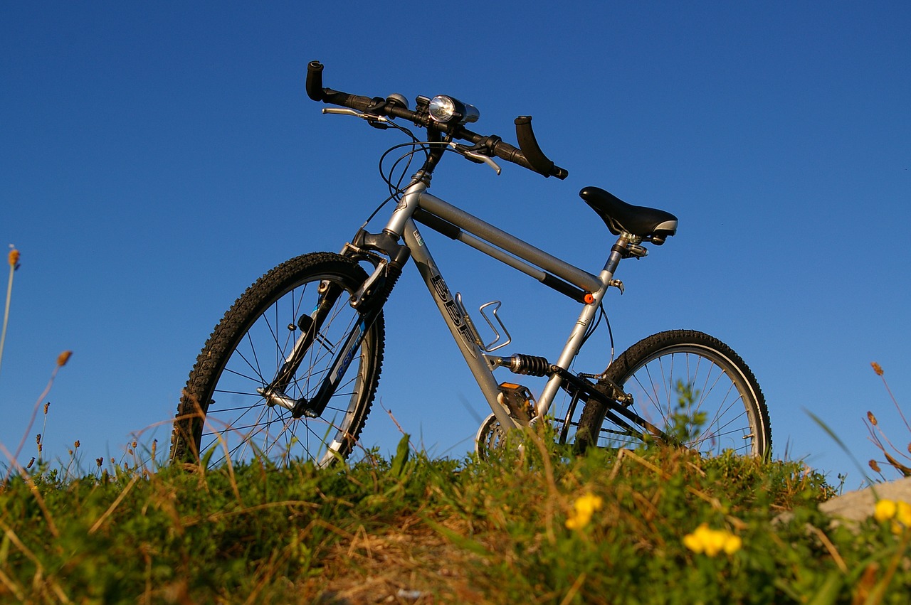 bike bicycle tour bike ride free photo