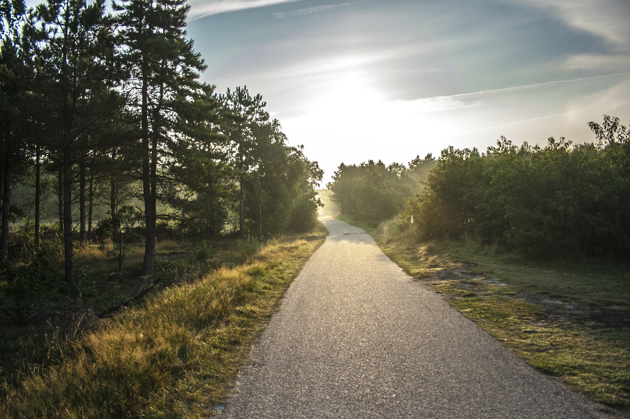 bike path morning sun ameland free photo