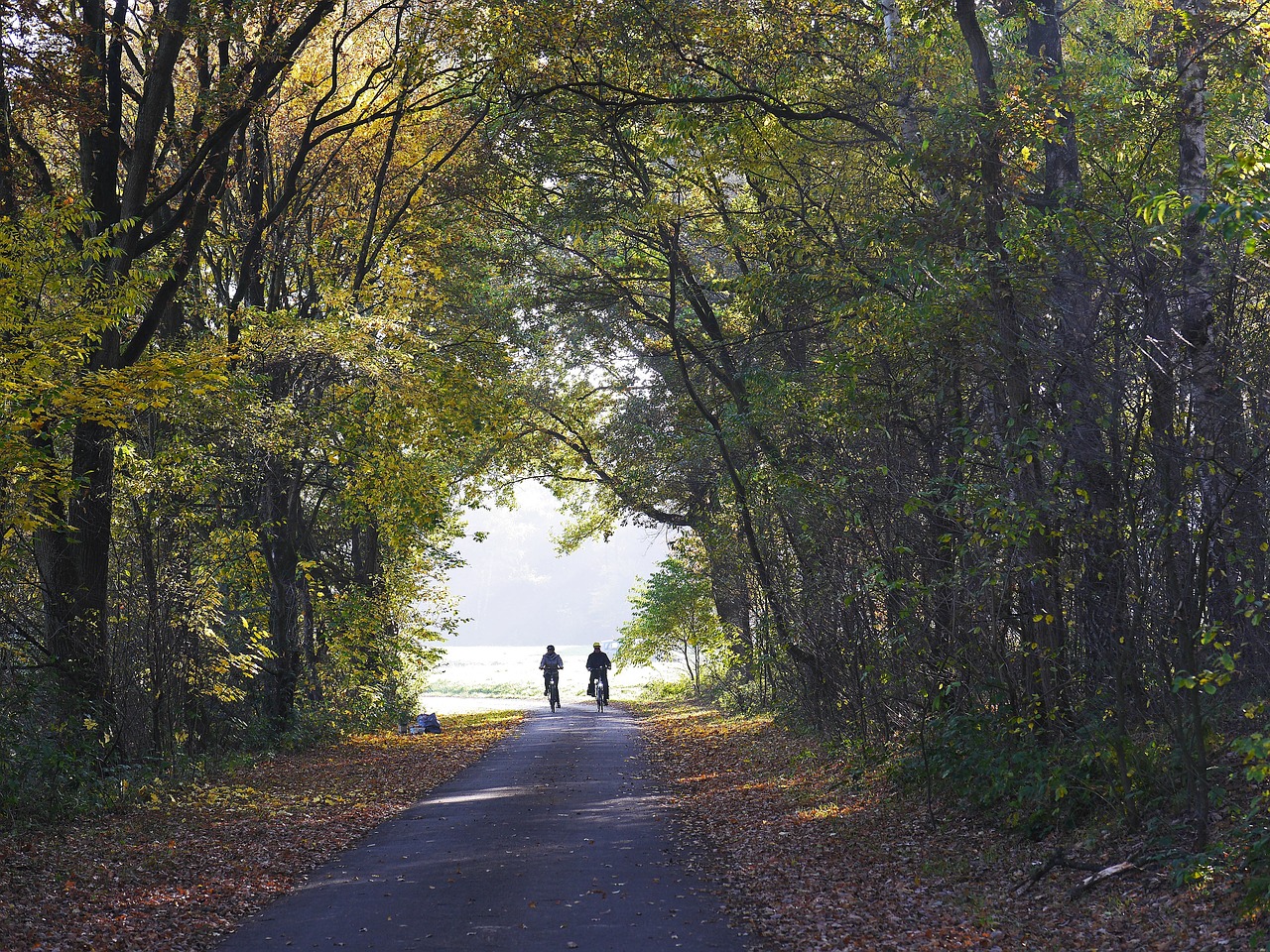 bike ride autumn october free photo