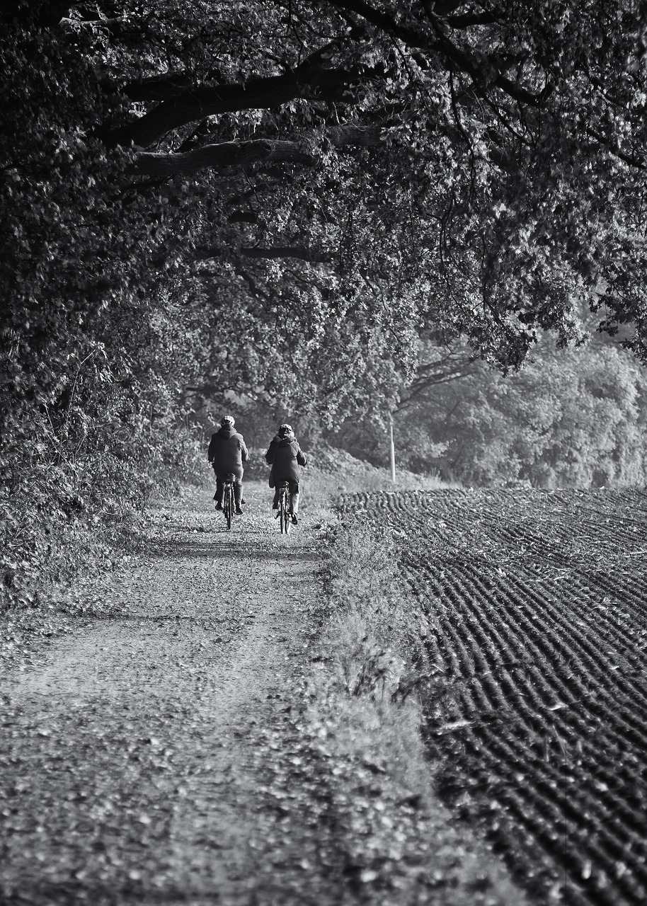 bike ride bike couple free photo