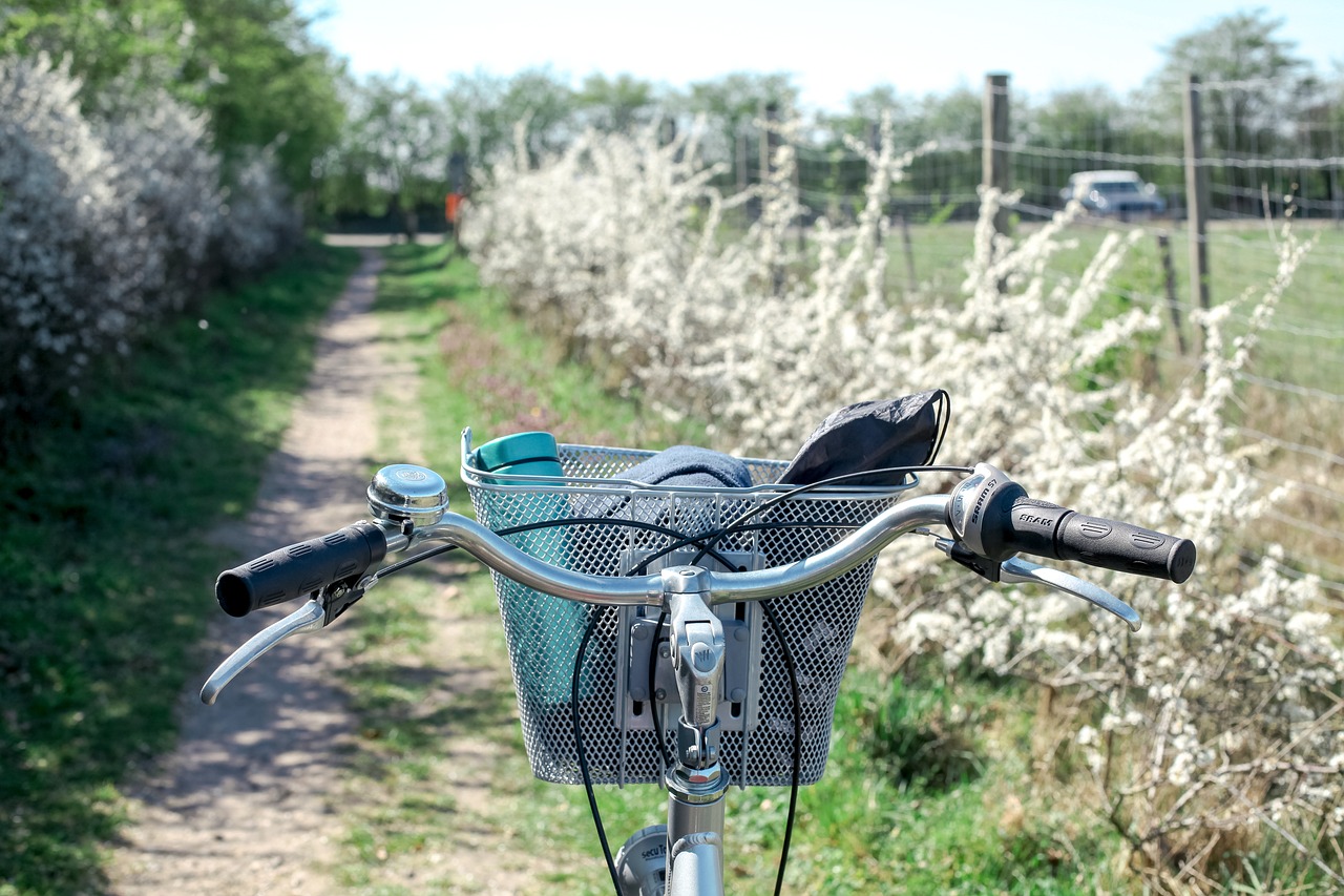 bike ride  spring  bike free photo