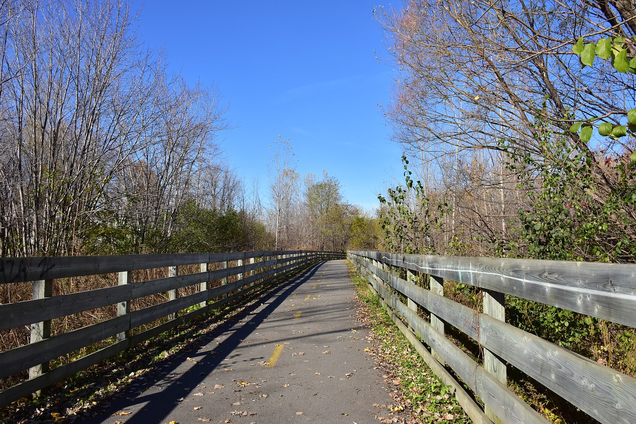 bike road track path free photo