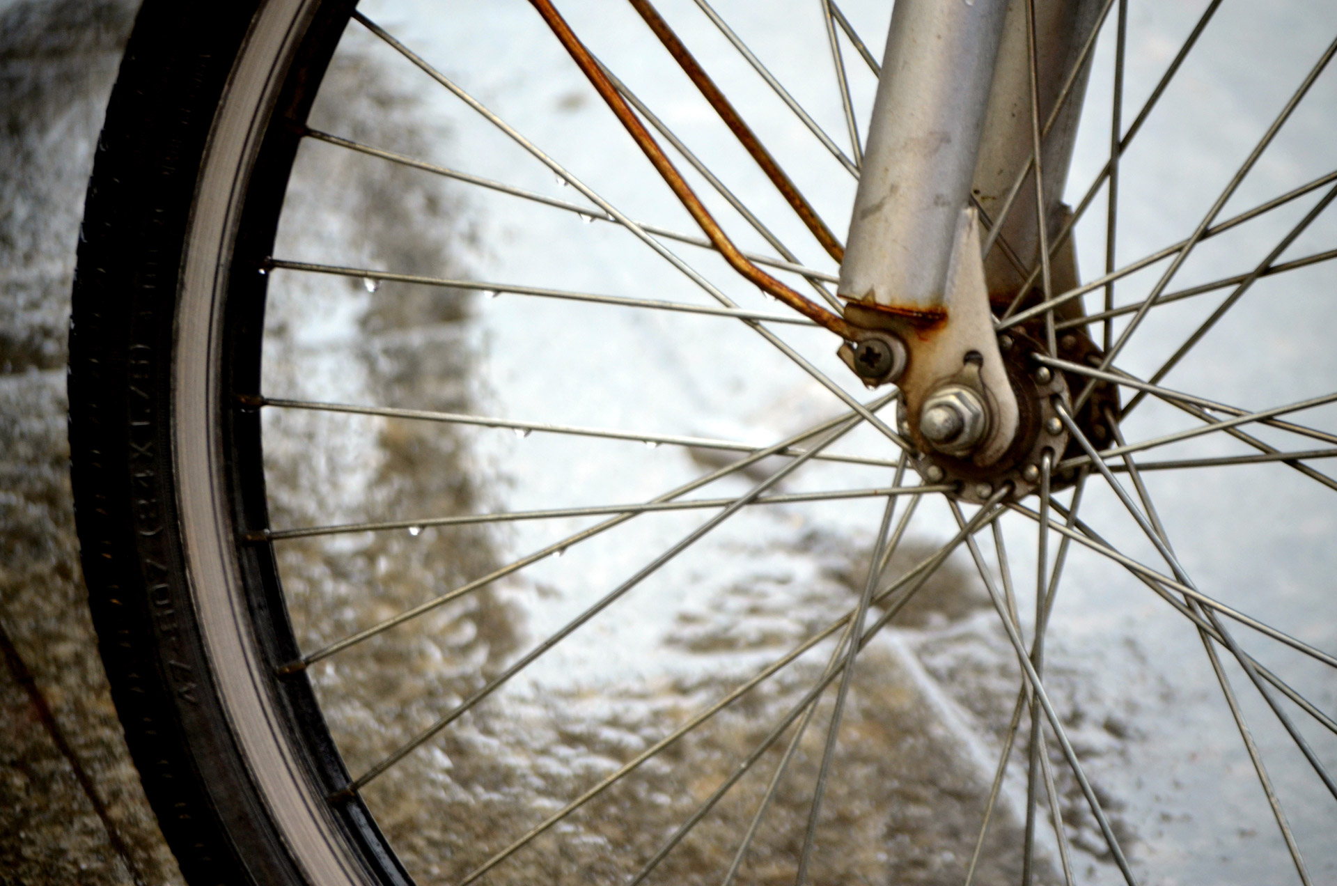 spoke spokes tire free photo