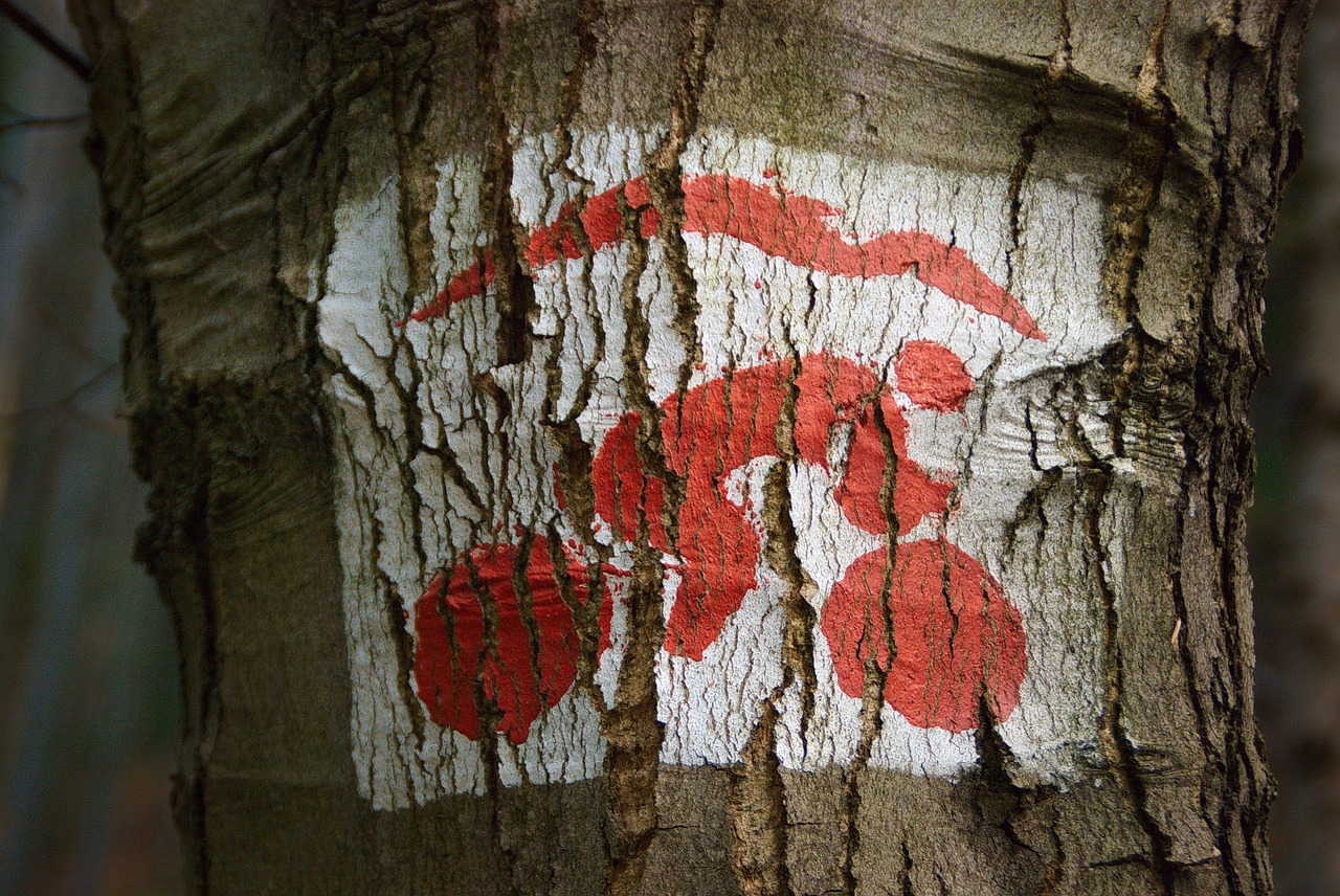 bike tracks red sign free photo