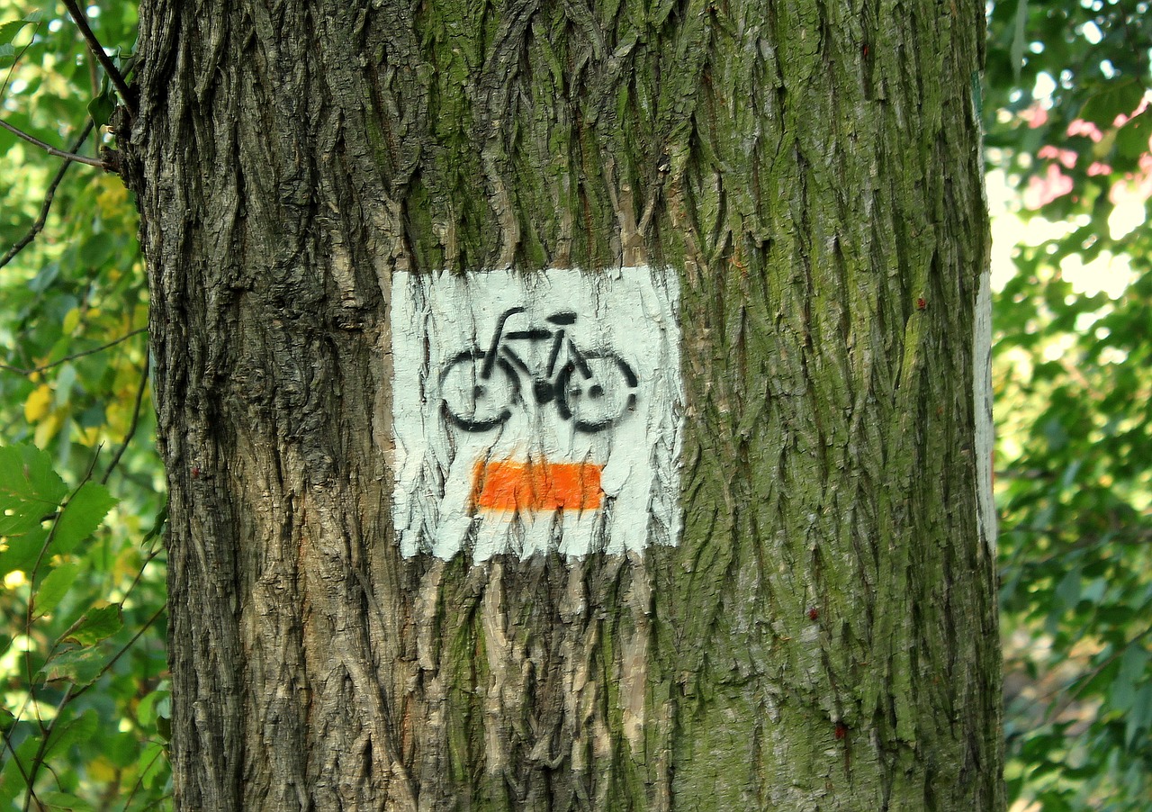 bike tracks  sign  symbol free photo