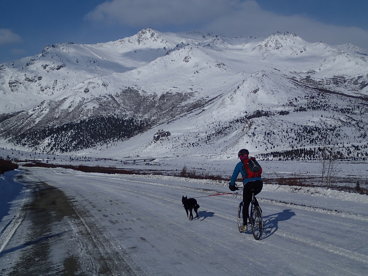 biker  snow  winter free photo