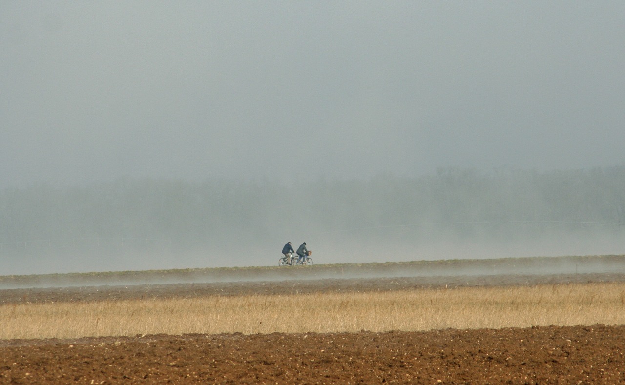 bikes fields mist free photo