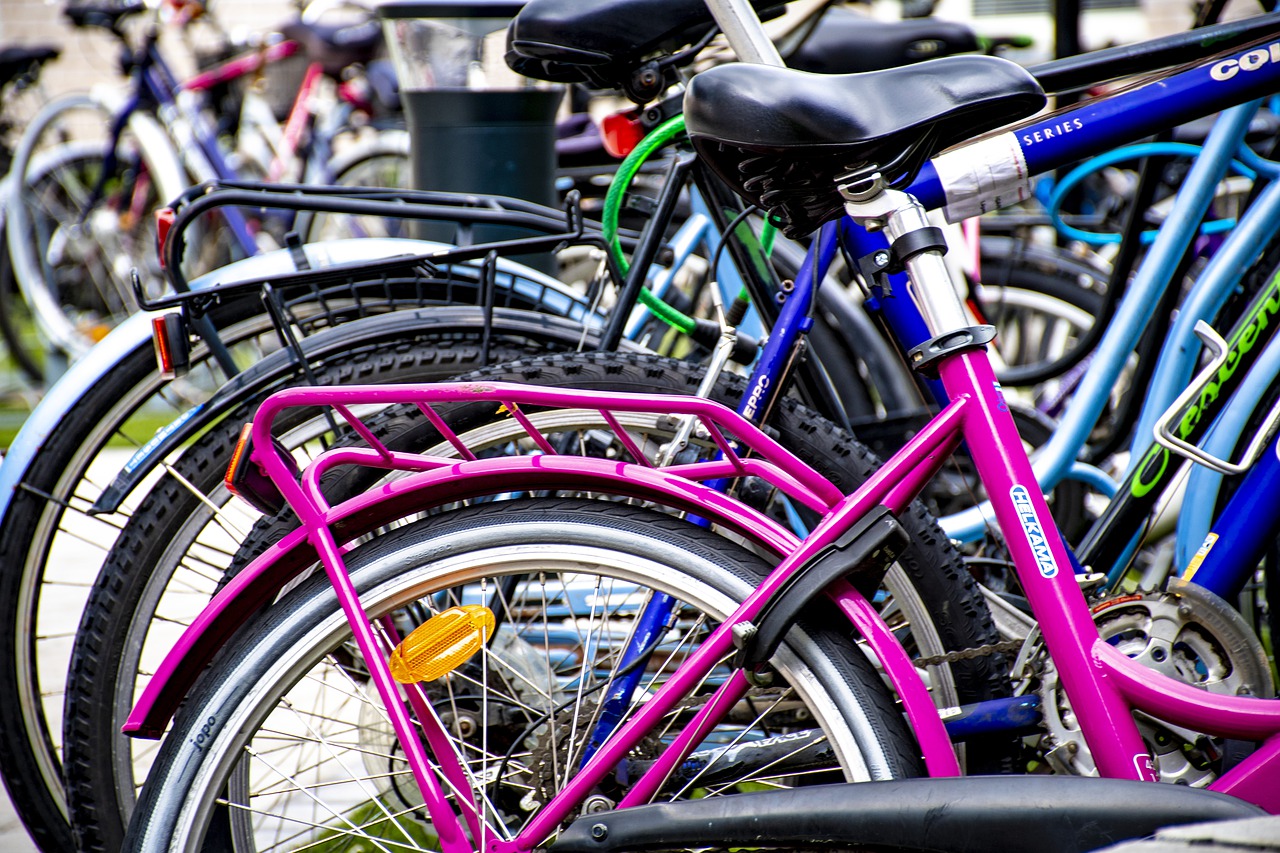 bikes  cycle  pink free photo