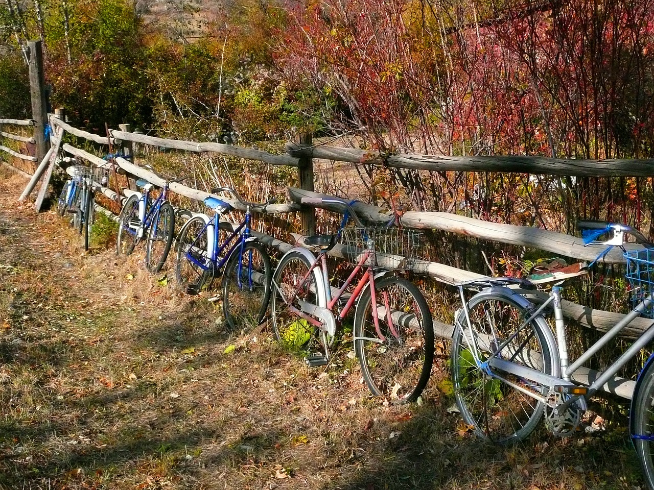 bikes fence old free photo