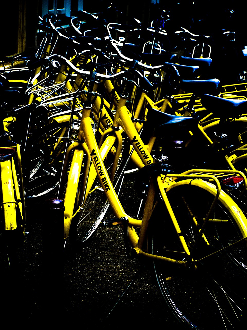 bikes yellow amsterdam free photo