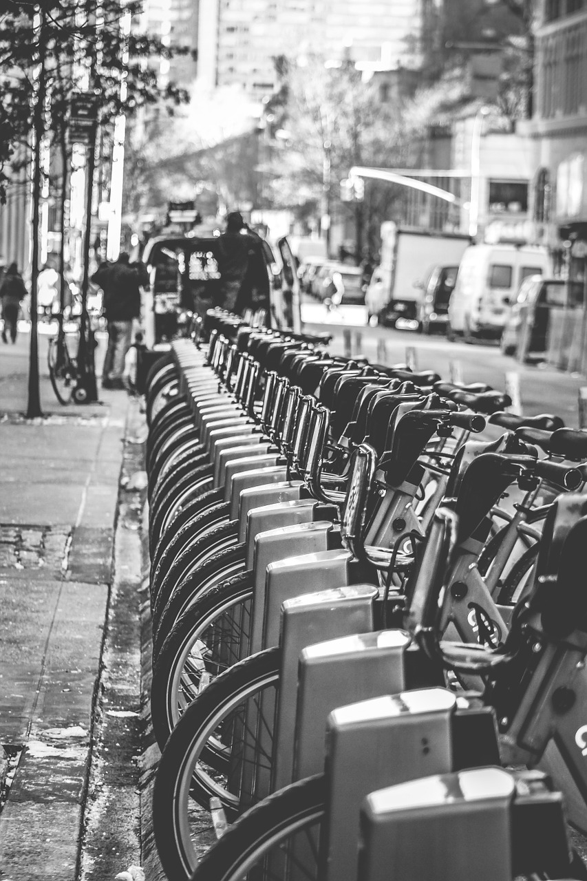 bikes bicycles city free photo