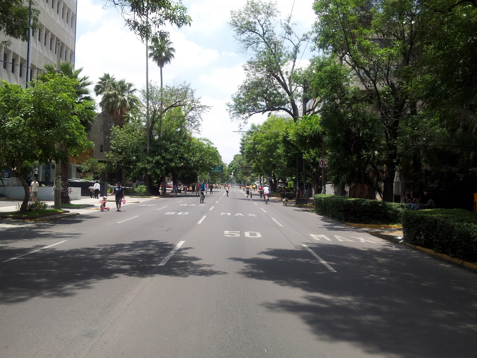 cycling bicycle closed street free photo