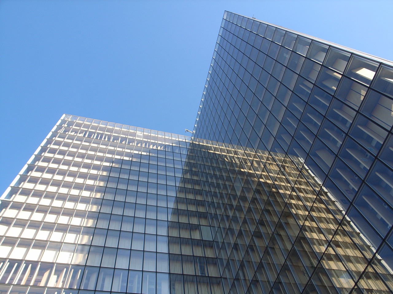 bill reflection paris free photo