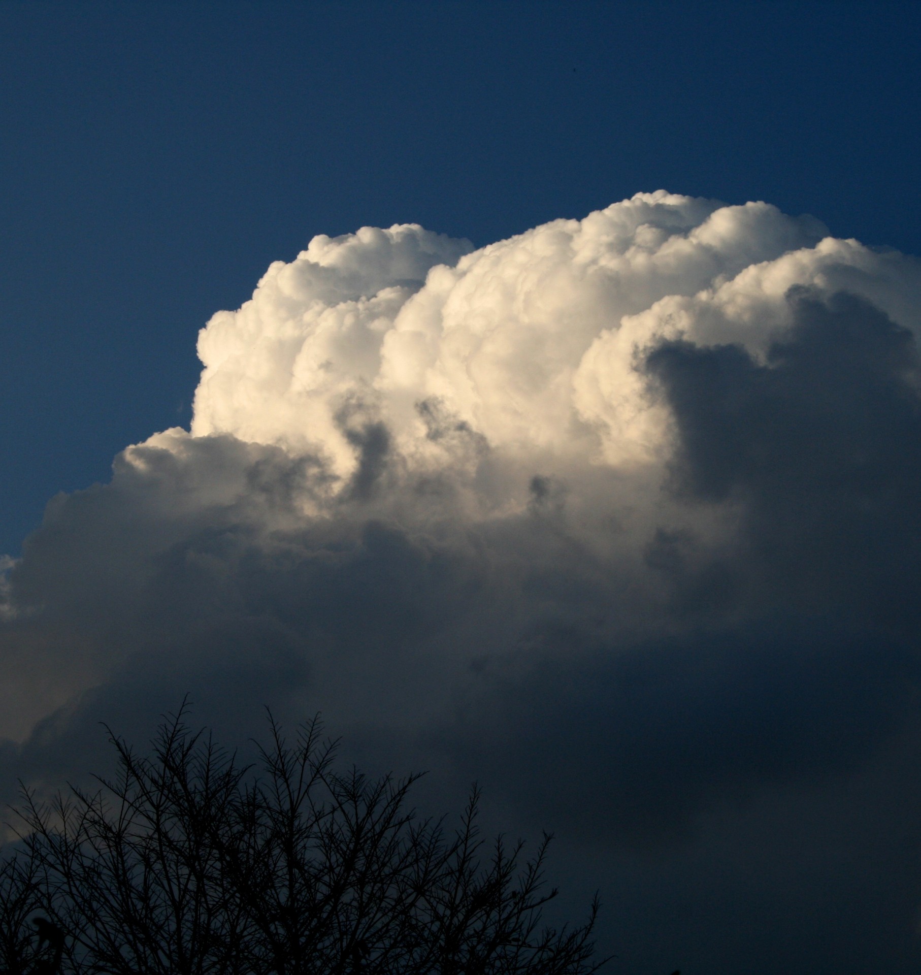 cloud formation white light free photo