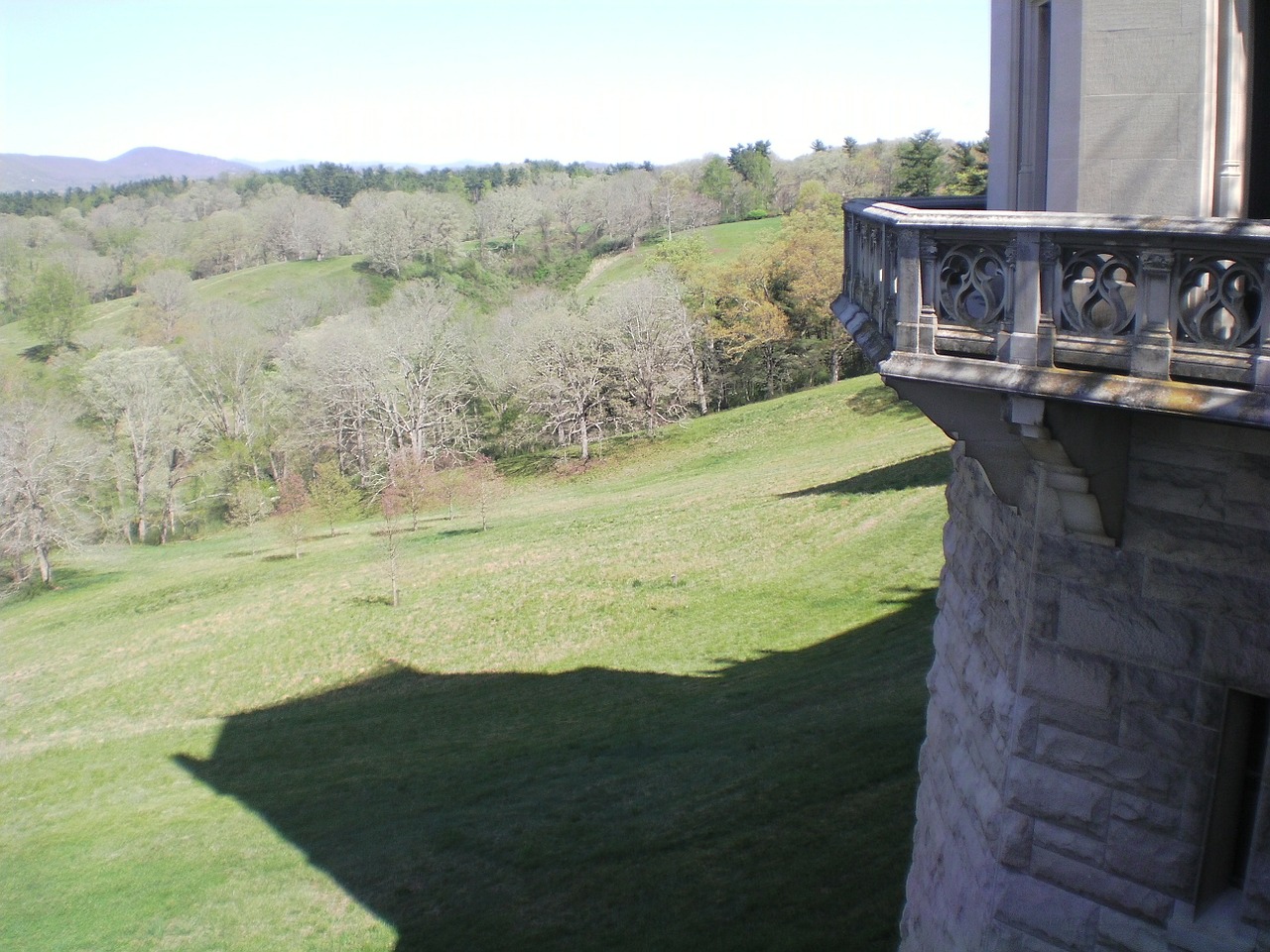 biltmore view nature free photo