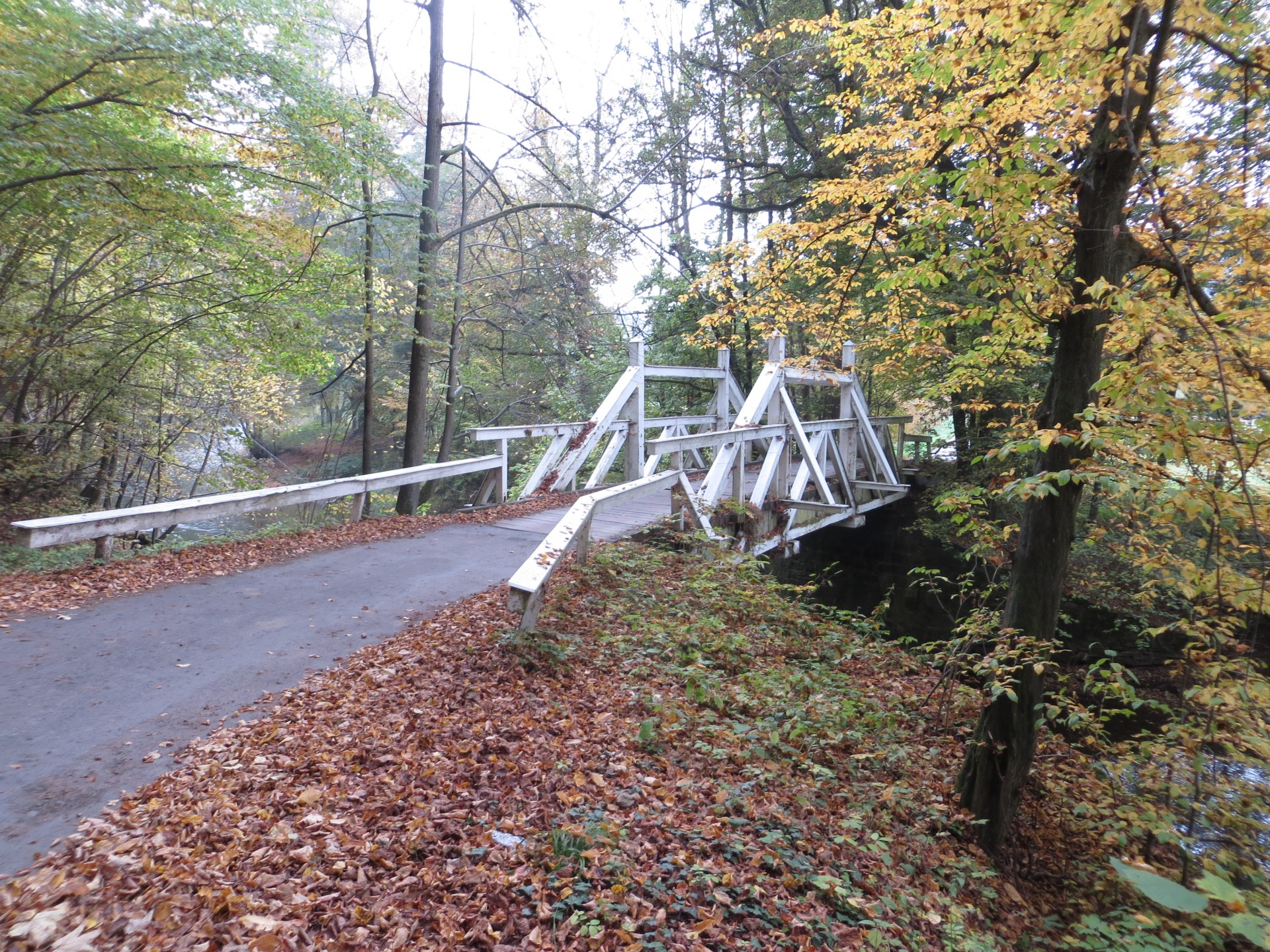 bridge river autumn free photo