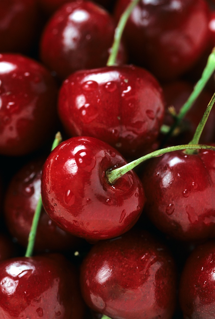 bing cherries ripe red free photo