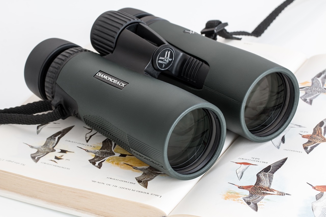 binoculars birdwatching spy glass free photo