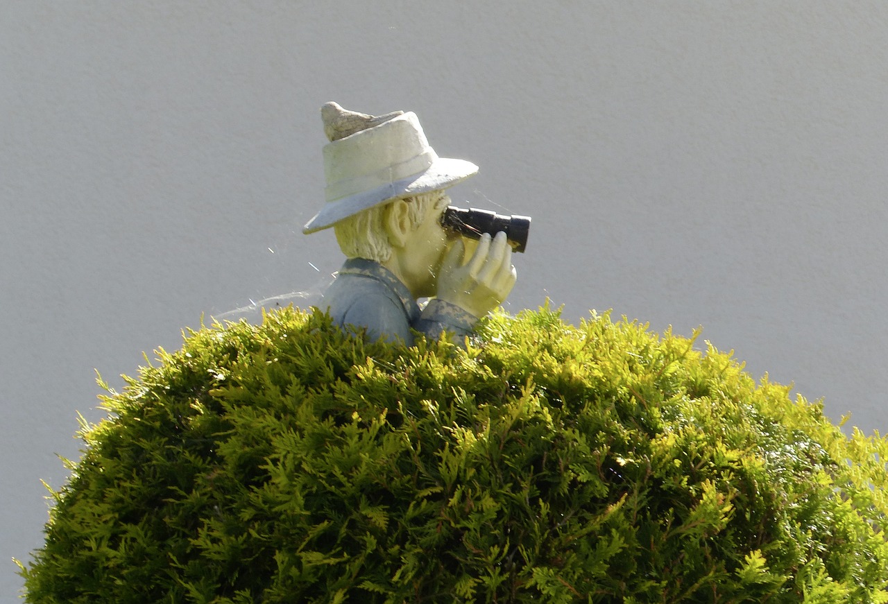 binoculars bush sensing free photo