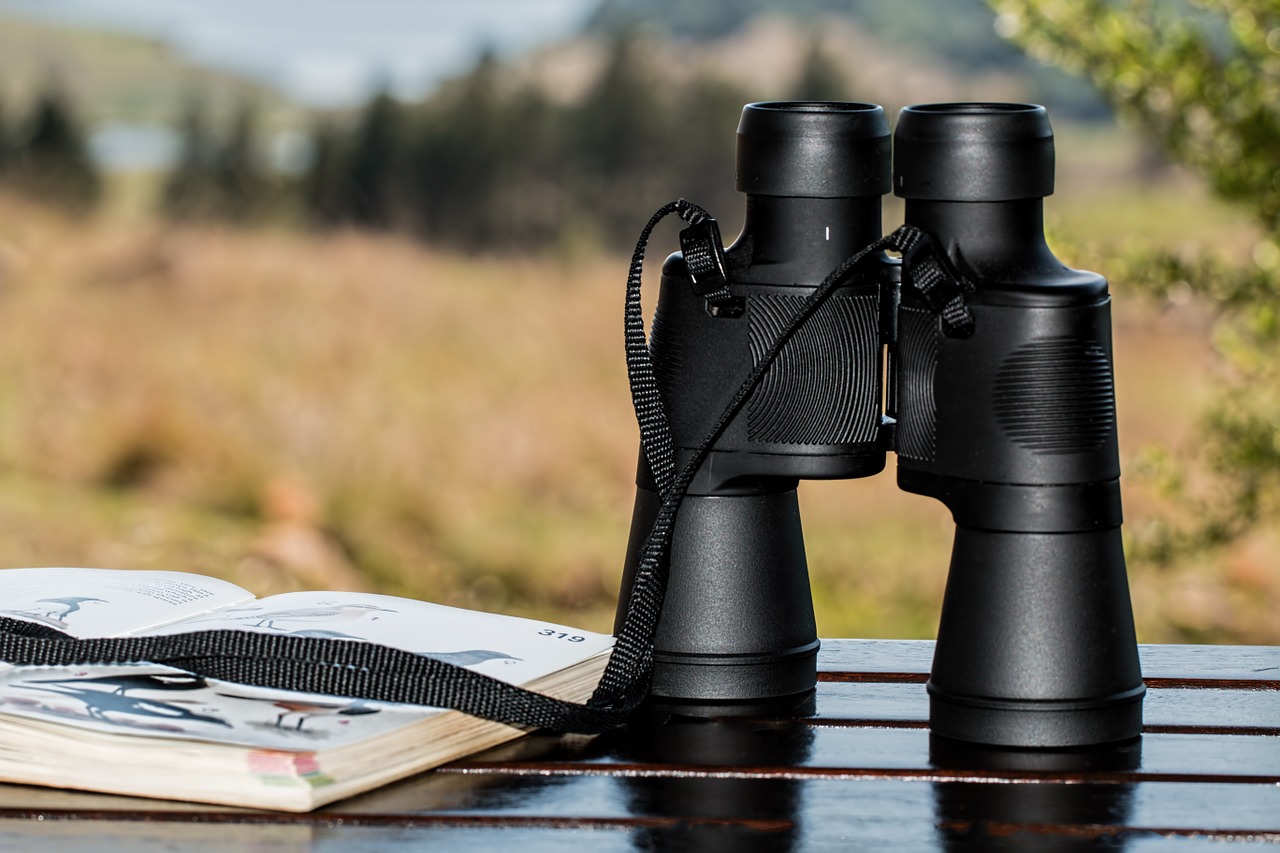 binoculars birdwatching spy glass free photo