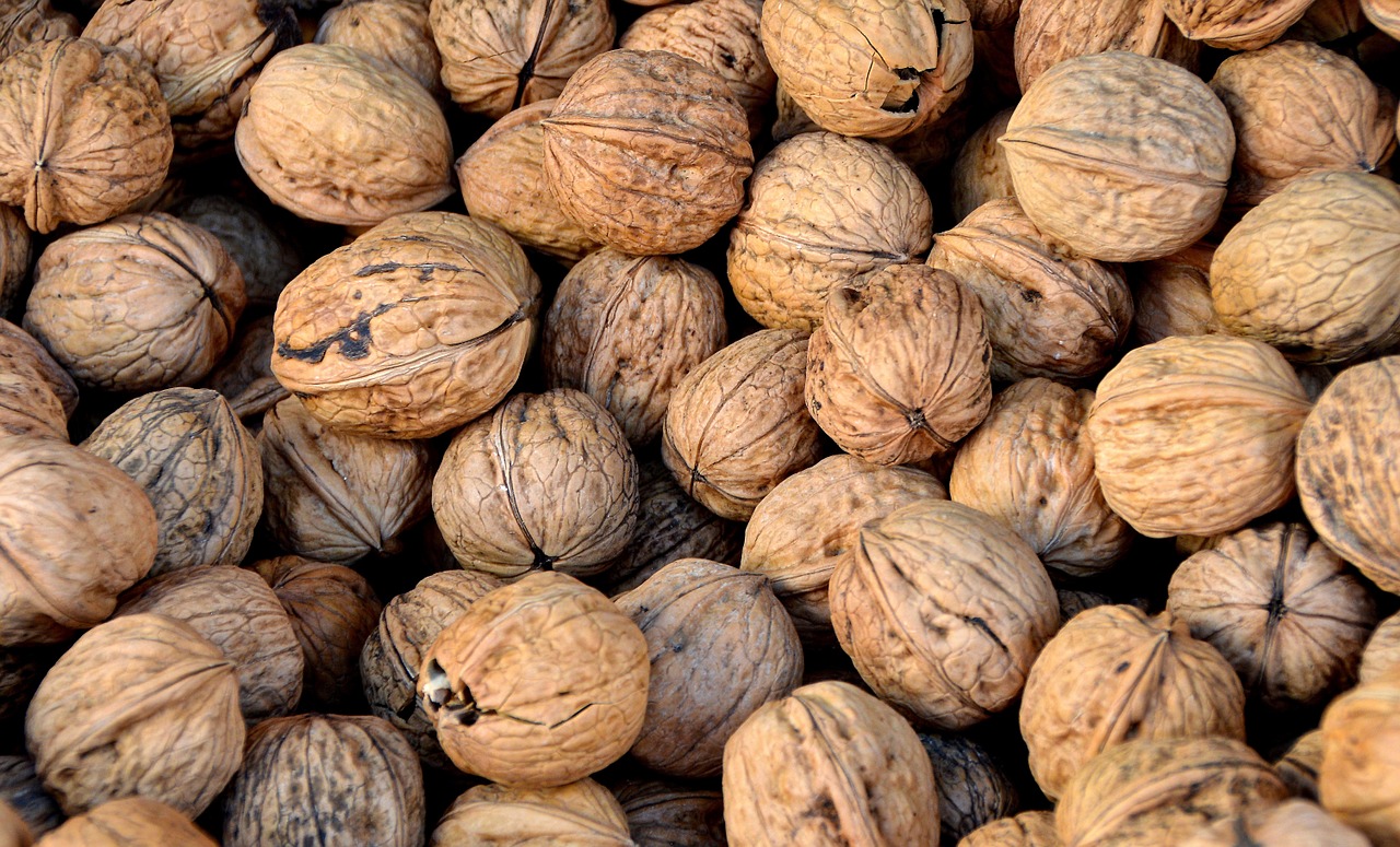 walnut nuts teaser free photo