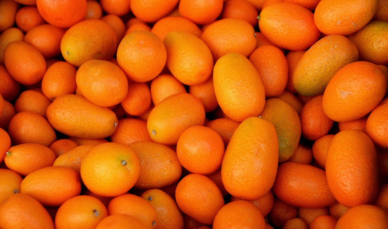 fruit orange kumquat free photo
