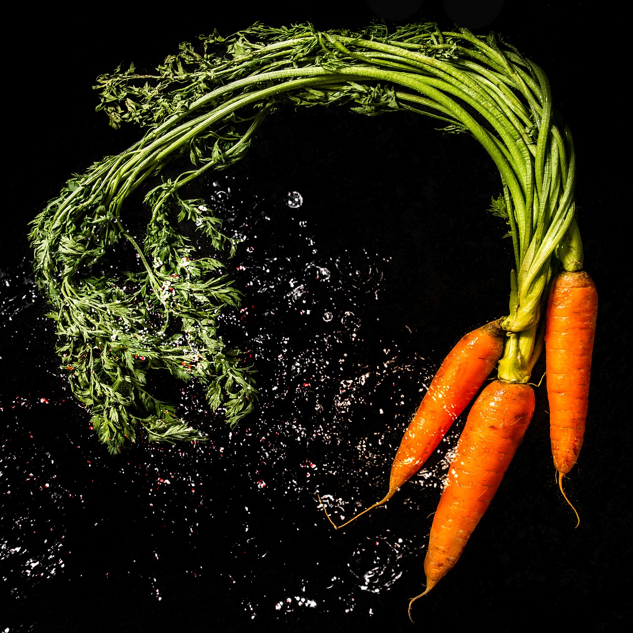 bio carrots vegetables free photo