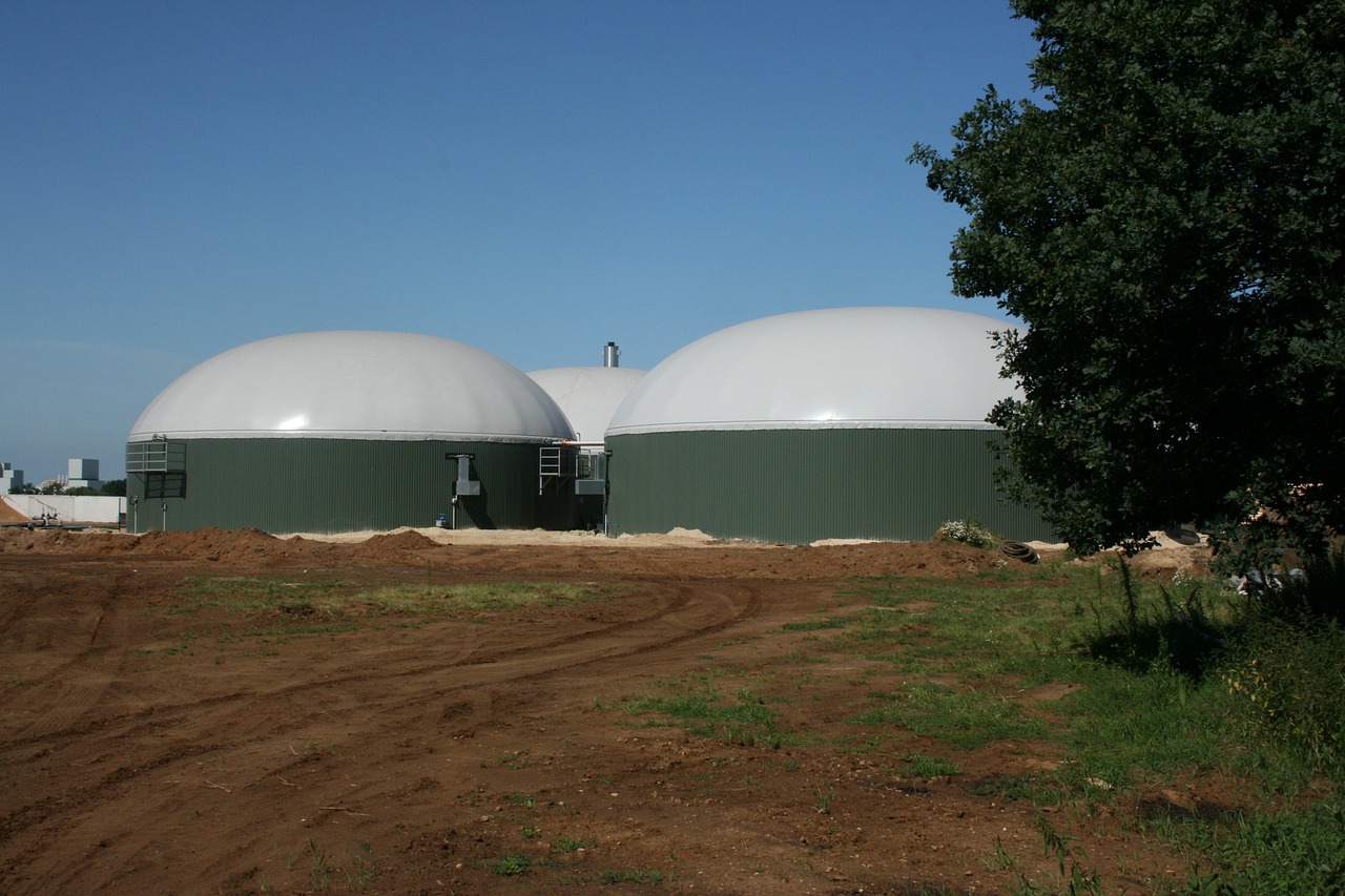 biogas manure fermentation manure free photo