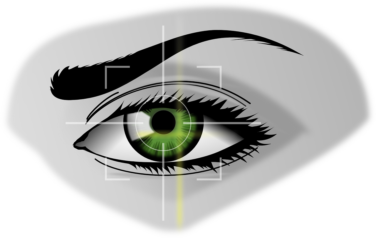 biometrics eye security free photo