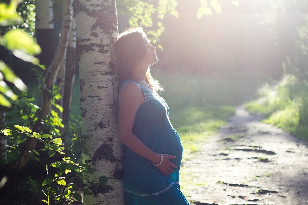 birch pregnant family free photo