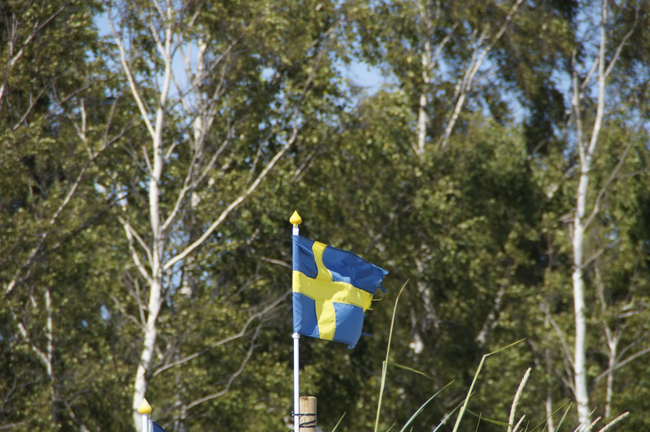 birch sweden flag free photo