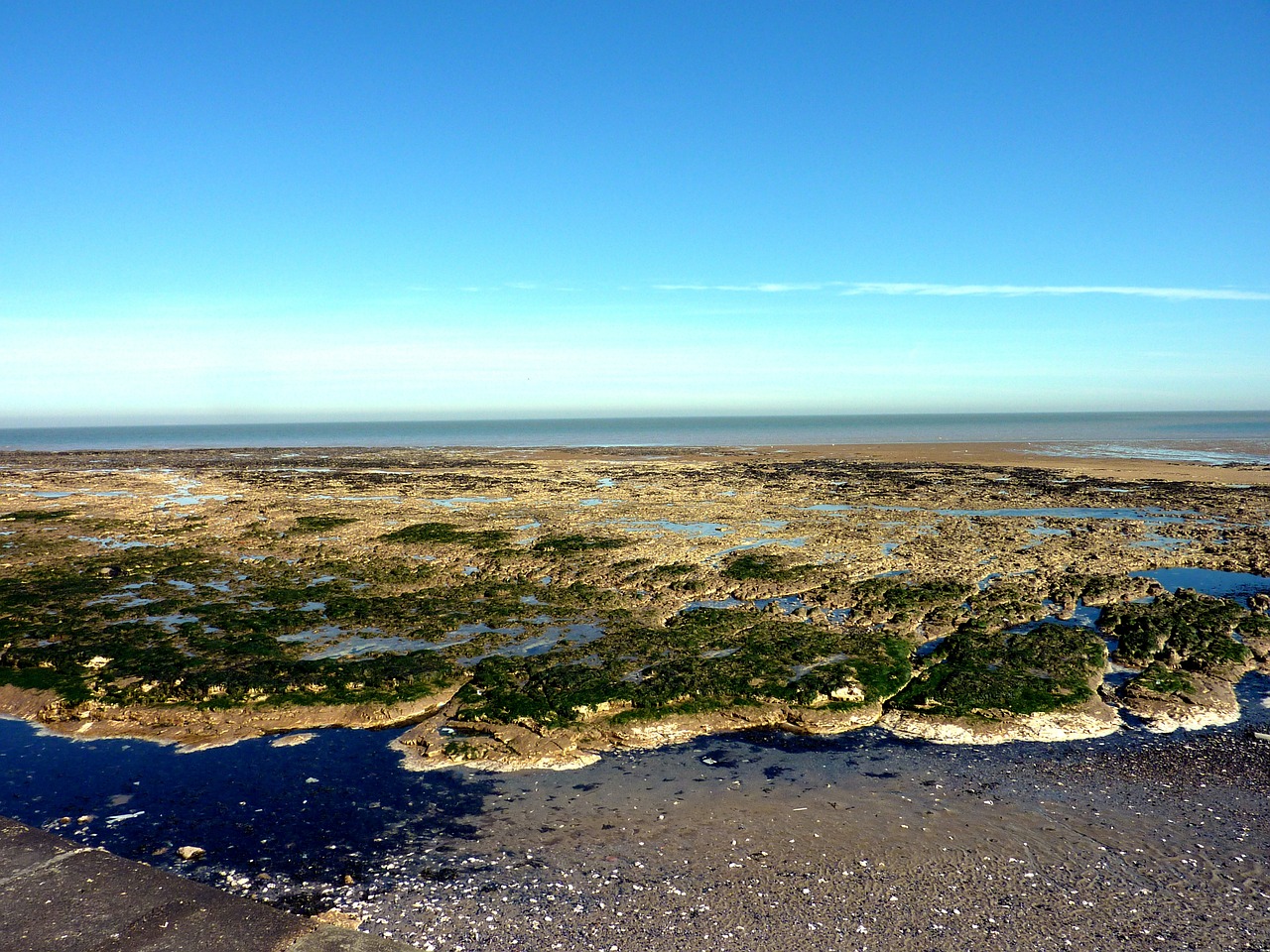 birchington-on-sea sea landscape free photo