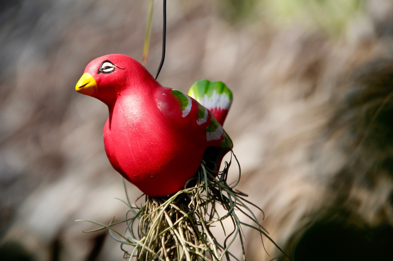 bird close ceramic free photo