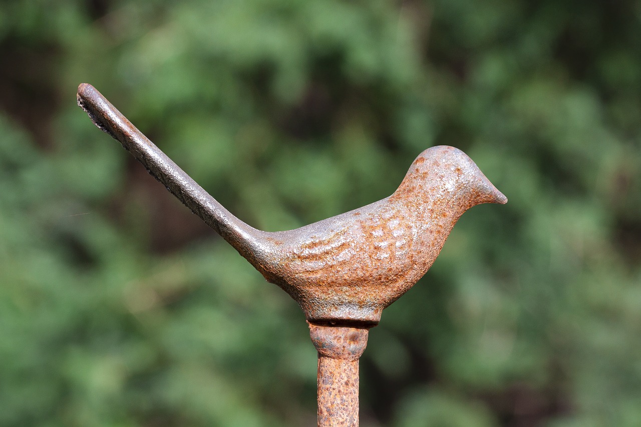 bird fence iron fence free photo