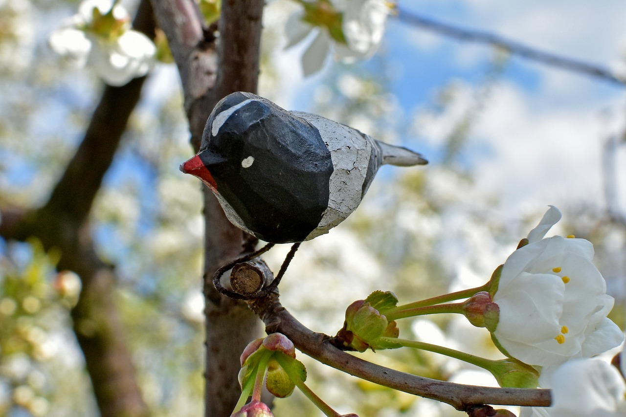 bird artificial spring free photo