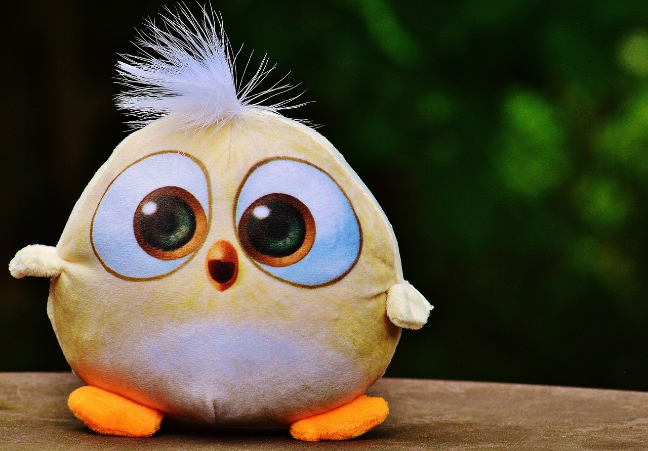 bird birdie plush free photo