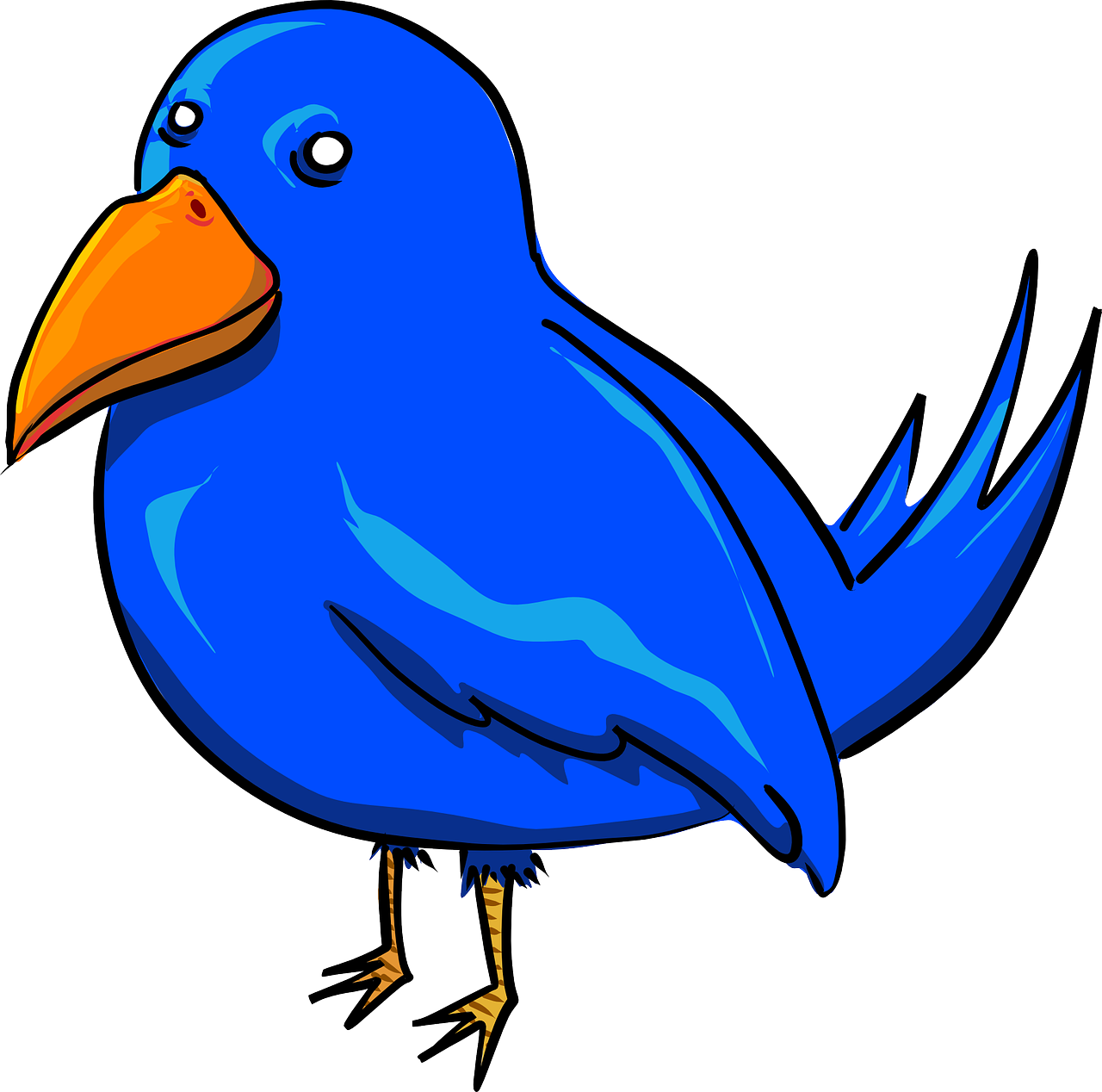 bird blue twitter free photo
