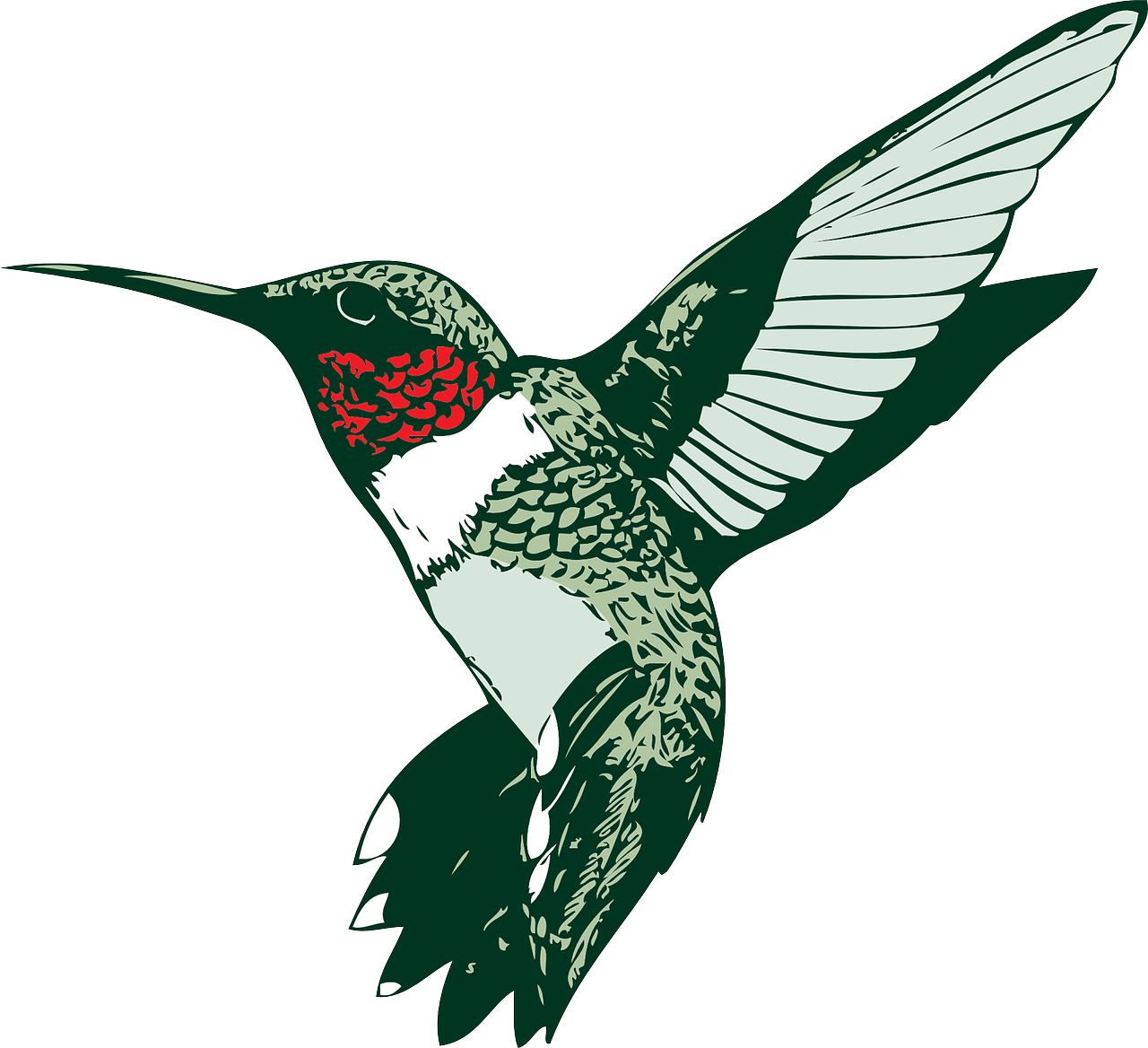 bird hummer hummingbird free photo